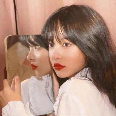 二呆流浪记之完全大人手册